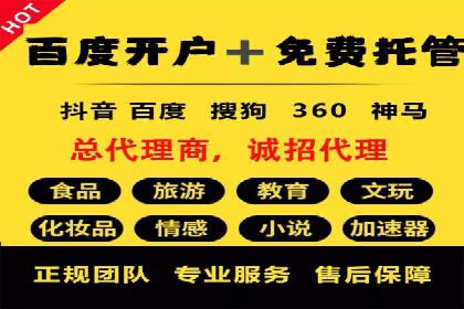 不同平台的SEM广告投放比较及成功案例分析